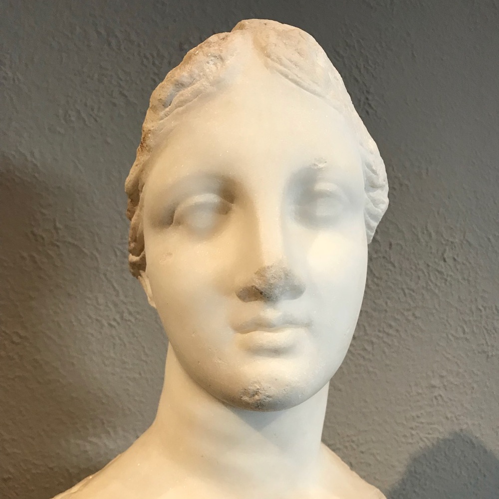 Meet your Posher, Ann